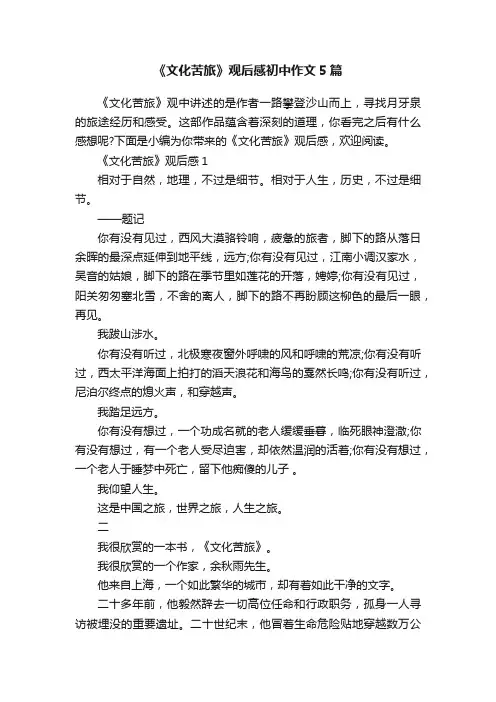《文化苦旅》观后感初中作文5篇