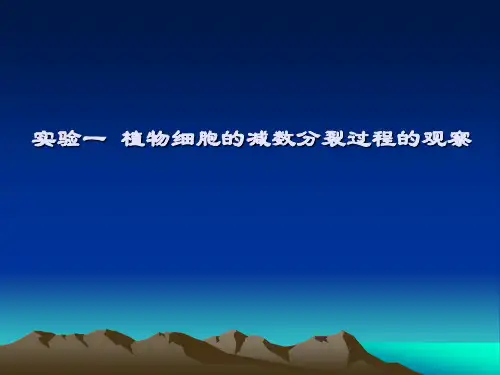 实验一植物细胞减数分裂过程的观察