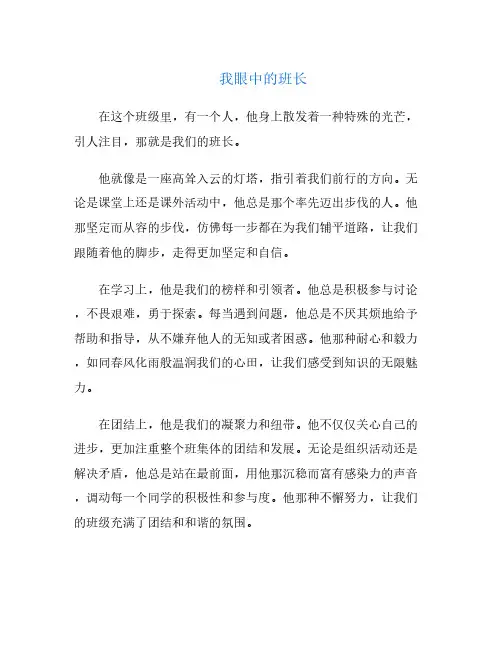 我眼中的班长