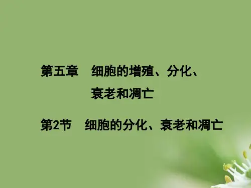 细胞的分化、衰老和凋亡ppt6 苏教版精选教学PPT课件