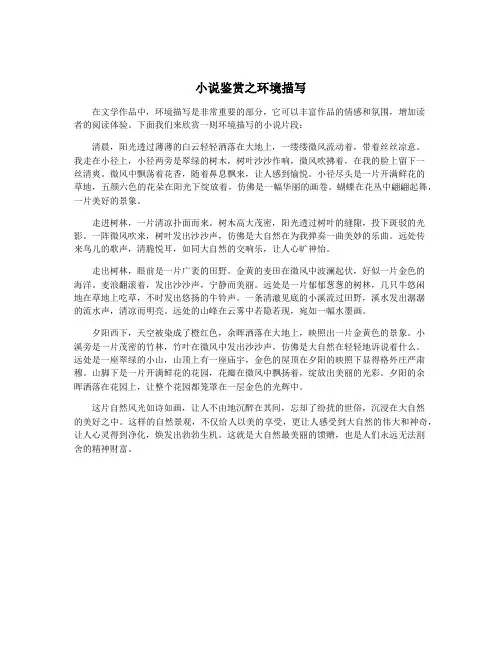 小说鉴赏之环境描写