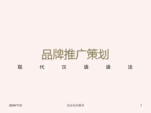 高考复习现代汉语语法