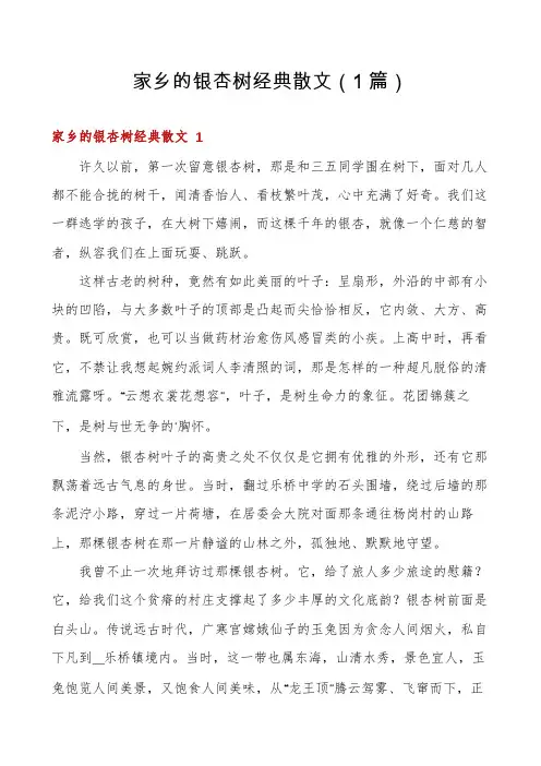 家乡的银杏树经典散文(1篇)