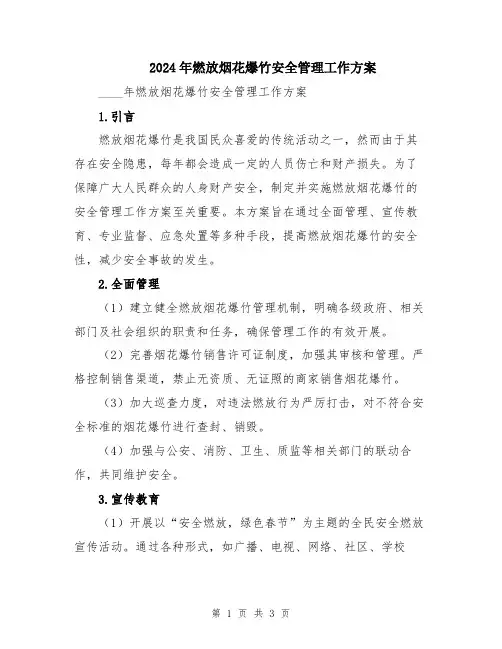 2024年燃放烟花爆竹安全管理工作方案