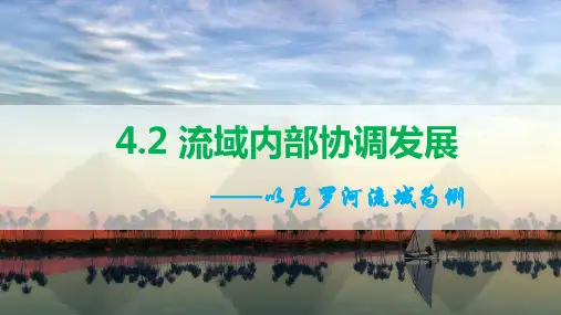 流域内部的协作发展—以尼罗河流域为例