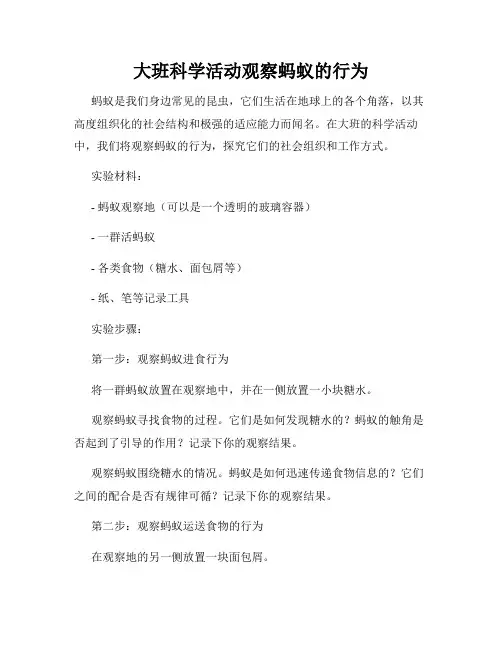 大班科学活动观察蚂蚁的行为