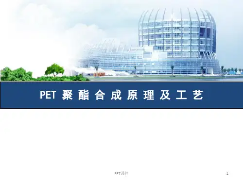 PET聚酯合成原理及工艺  ppt课件