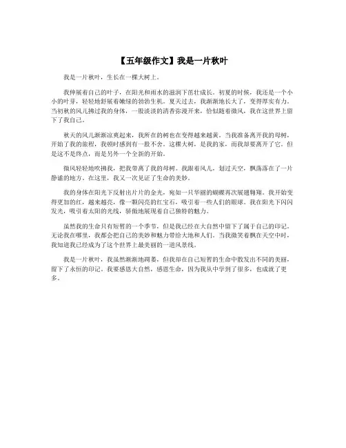 【五年级作文】我是一片秋叶