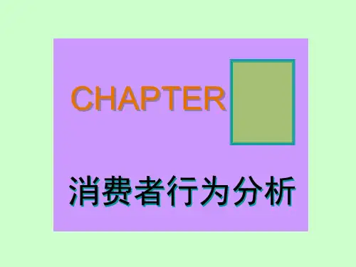 第6、7章消费者行为分析