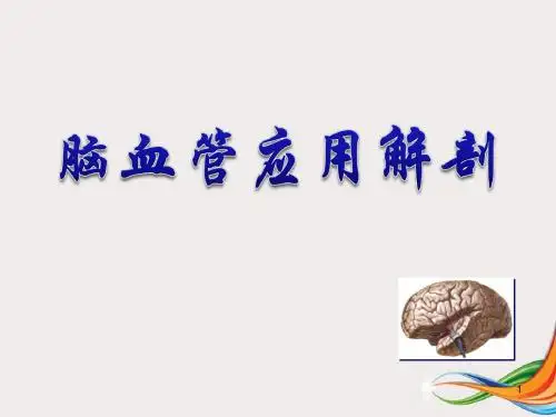 脑血管应用解剖PPT演示课件