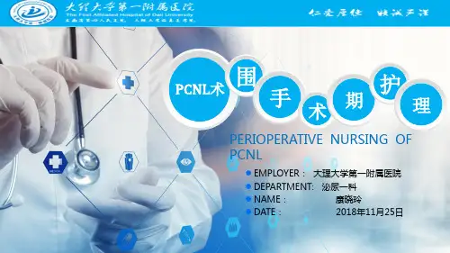 PCNL术围手术期护理ppt课件