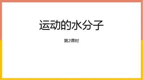 鲁教版九年级化学上册 运动的水分子 探秘水世界课件(第2课时)