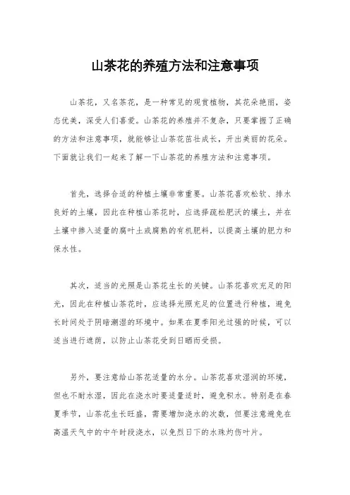 山茶花的养殖方法和注意事项