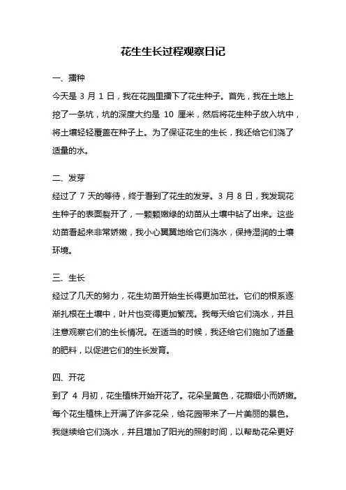 花生生长过程观察日记