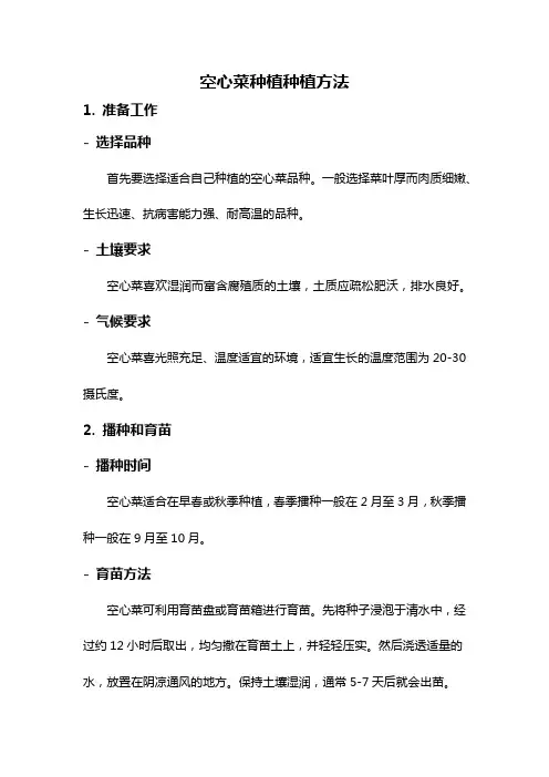 空心菜种植种植方法