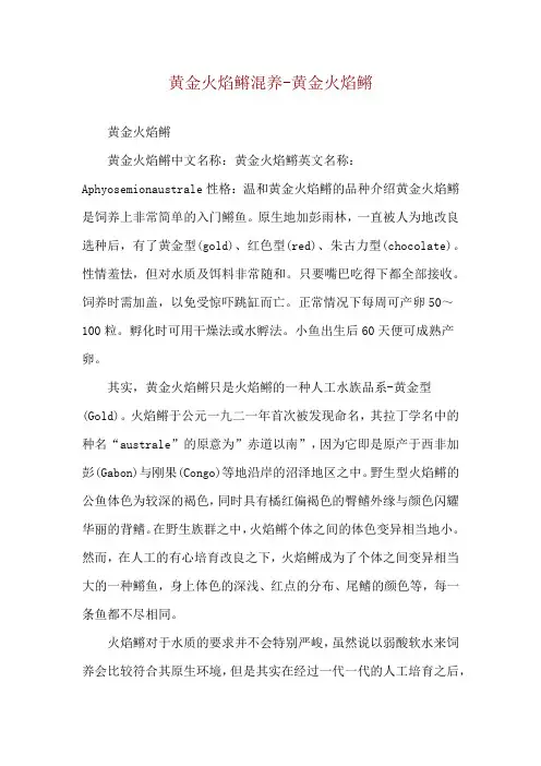 黄金火焰鳉混养-黄金火焰鳉