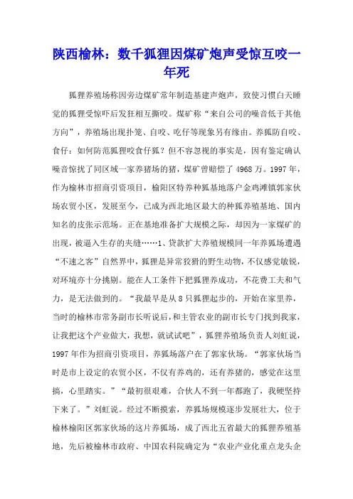 陕西榆林：数千狐狸因煤矿炮声受惊互咬 一年死