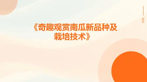 奇趣观赏南瓜新品种及栽培技术
