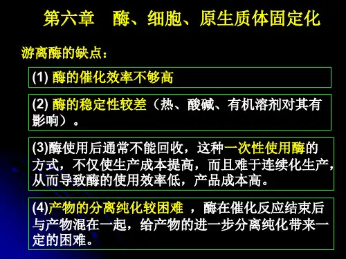 第六章酶与细胞固定化