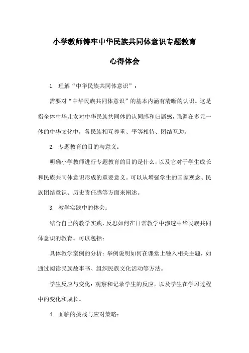 小学教师铸牢中华民族共同体意识专题教育心得体会