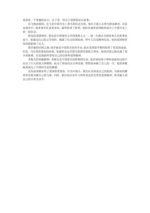 爱国的论点故事