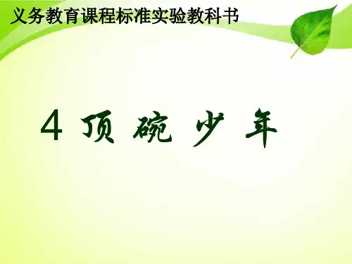 六年级语文下册第四课.ppt