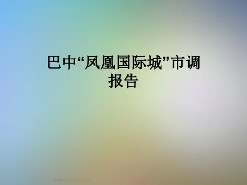 巴中“凤凰国际城”市调报告