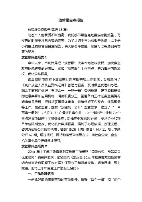 放管服自查报告