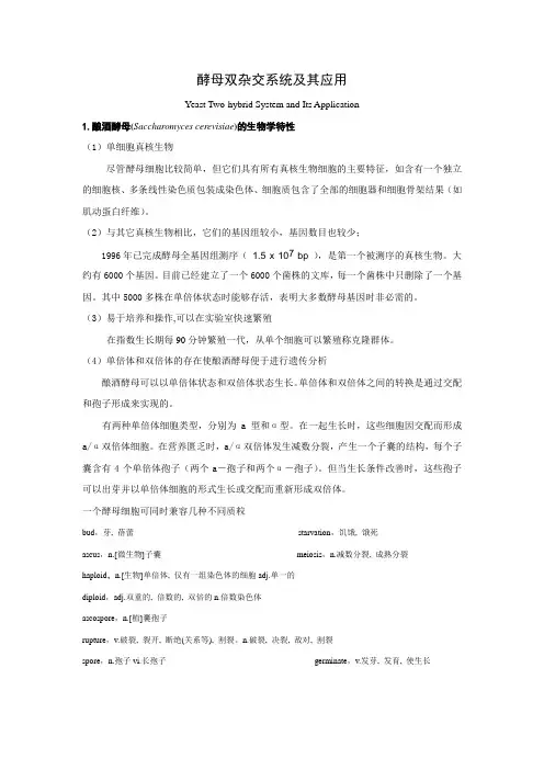 酵母双杂交系统及其应用