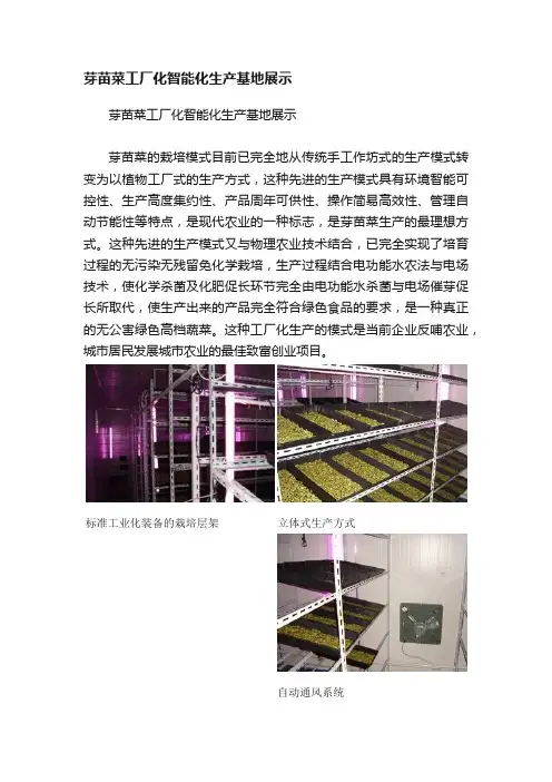 芽苗菜工厂化智能化生产基地展示