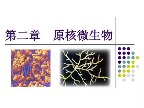 2 细菌-环境工程微生物学