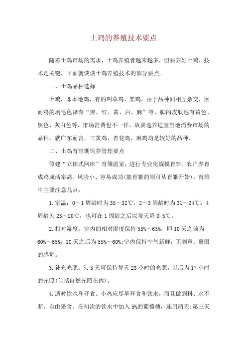 土鸡的养殖技术要点