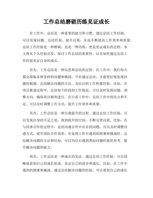 工作总结磨砺历练见证成长