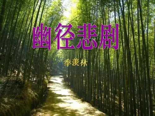 幽径悲剧- 优秀PPT课件