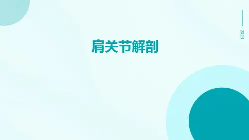 (医学课件)肩关节解剖