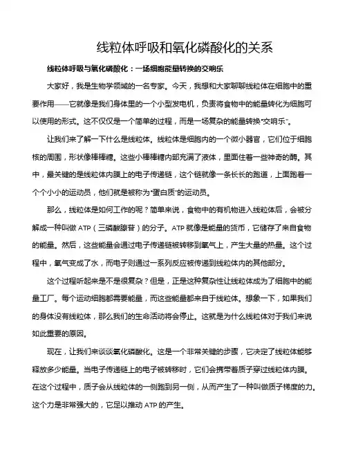 线粒体呼吸和氧化磷酸化的关系