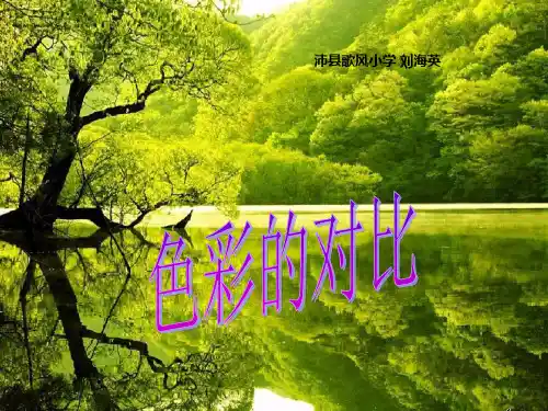 人教小学美术五年级上册《第1课色彩的对比》PPT课件