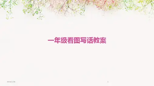 一年级看图写话教案(2024)