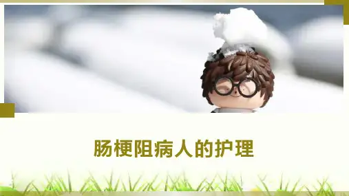 肠梗阻病人的护理 外科护理学