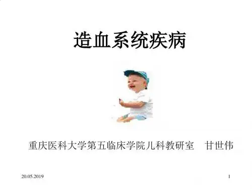 小儿造血系统疾病概述PPT(58张)