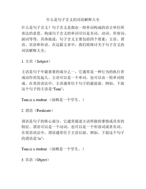 什么是句子含义的词语解释大全