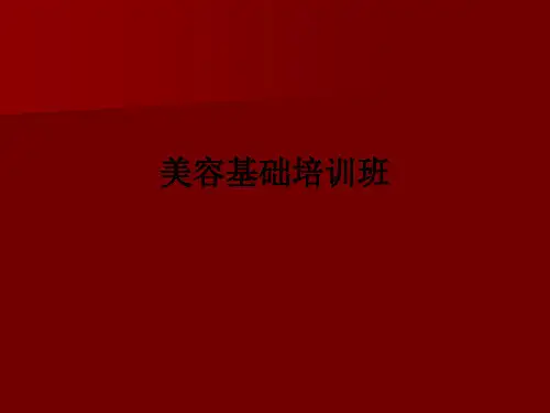 美容基础培训班ppt课件