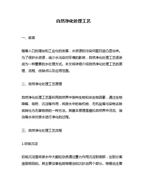 自然净化处理工艺