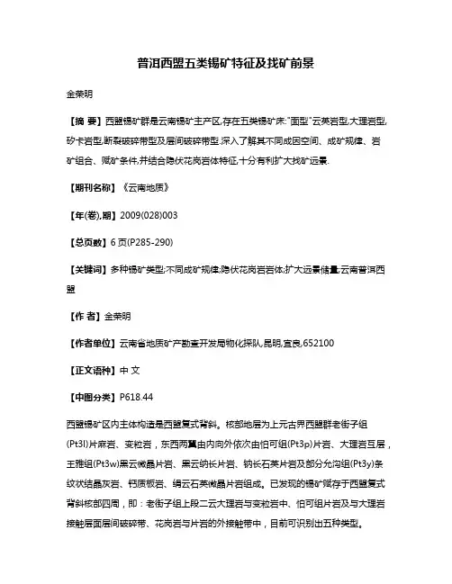 普洱西盟五类锡矿特征及找矿前景