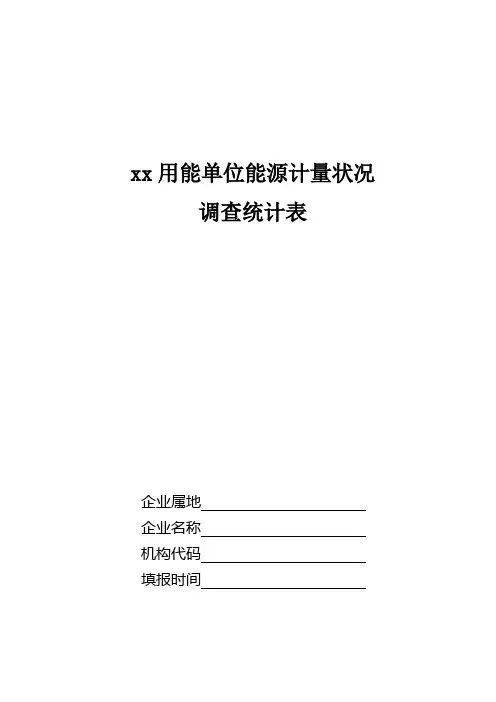 用能单位能源计量状况调查统计表