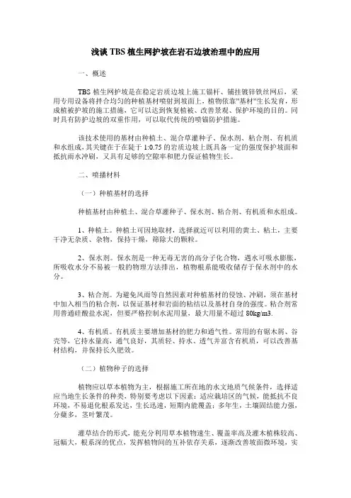 浅谈TBS植生网护坡在岩石边坡治理中的应用