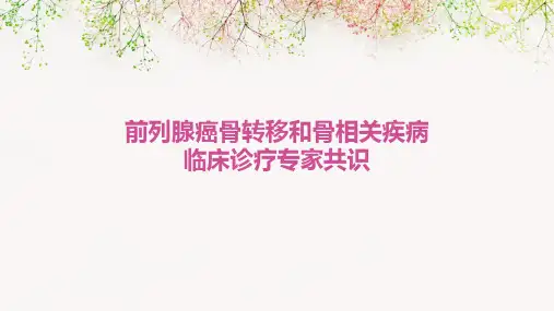前列腺癌骨转移和骨相关疾病临床诊疗专家共识