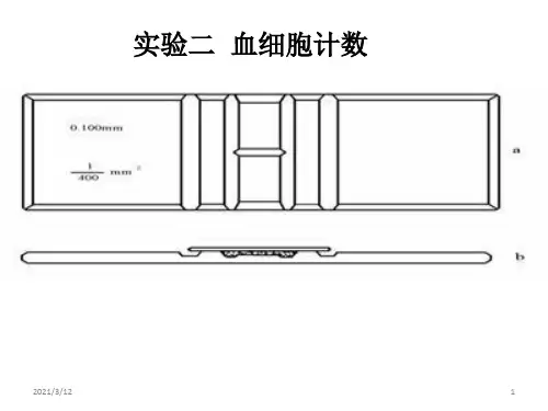 实验二--血细胞计数PPT课件