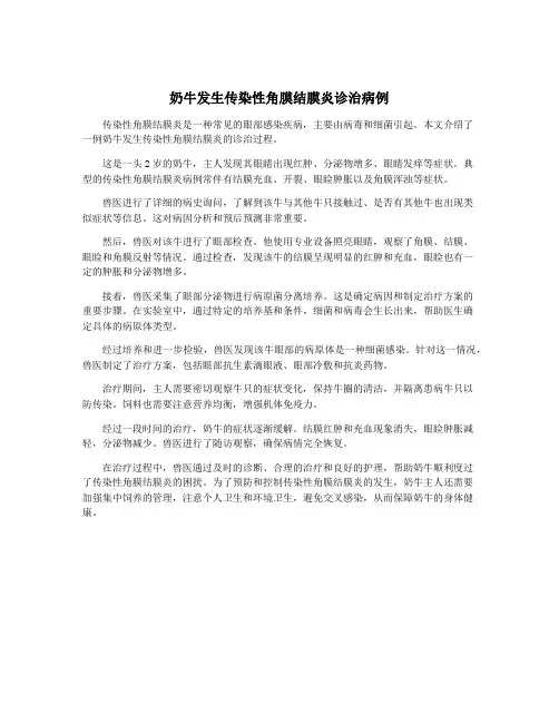 奶牛发生传染性角膜结膜炎诊治病例