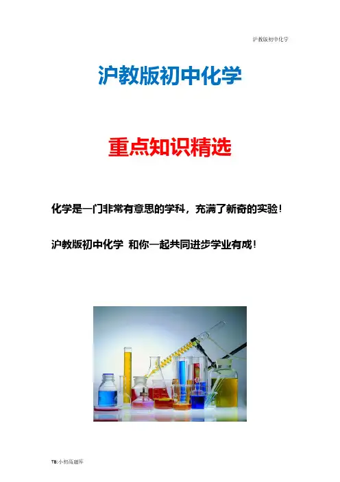 沪教科版初中花谢九年级下册 6.3 物质的溶解性(第1课时)学案 